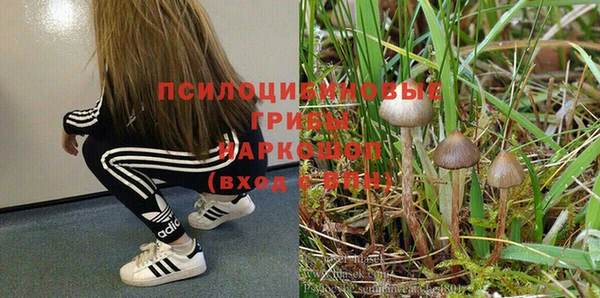 дурь Белокуриха