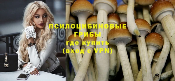дурь Белокуриха